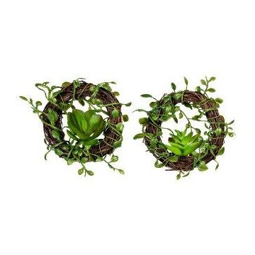 Artificial wreath Muehlenbeckia MEVRO, 2 pieces, succulent, green, Ø3.1"/8cm