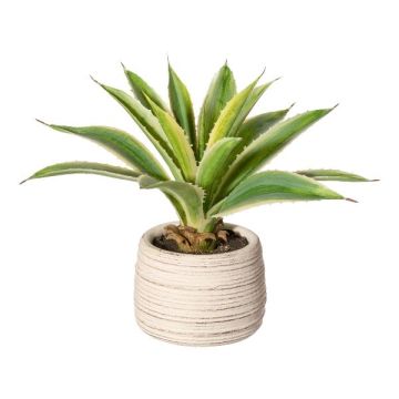 Artificial succulent Agave americana TRILDON in cement pot, green-yellow, 10"/25cm