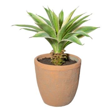 Artificial succulent Agave americana GRUFT in a terracotta pot, green-cream, 14"/35cm Artificial succulent Agave americana GRUFT in a terracotta pot, green-cream, 14"/35cm