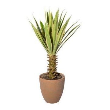 Artificial Agave furcraea gigantea SININ in terracotta pot, green-cream, 30"/75cm