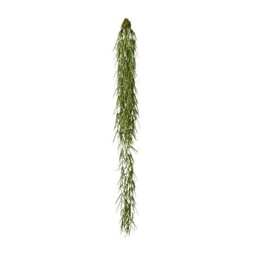 Artificial succulent Hoya linearis NERTIN, root ball, green, 4ft/120cm Artificial succulent Hoya linearis NERTIN, root ball, green, 4ft/120cm