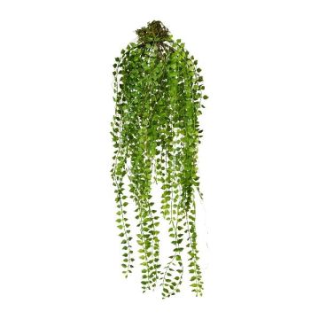 Artificial hanging plant Columnea GRAHIN, root ball, green, 70cm