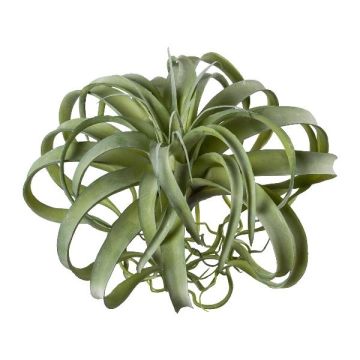 Artificial succulent Tillandsia streptophylla VANTIA, spike, green, 12"/30cm, Ø14"/35cm