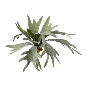 Artificial plant: staghorn fern SLUHAR, stake, green, 14"/35cm