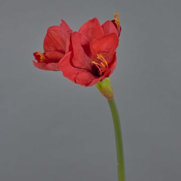 Decorative flower Amaryllis BELAV, red, 28"/70cm, Ø2"-5.1"/5-13cm Decorative flower Amaryllis BELAV, red, 28"/70cm, Ø2"-5.1"/5-13cm