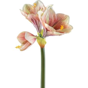 Decorative flower Amaryllis BELAV, pink-cream-green, 28"/70cm, Ø2"-5.1"/5-13cm Decorative flower Amaryllis BELAV, pink-cream-green, 28"/70cm, Ø2"-5.1"/5-13cm
