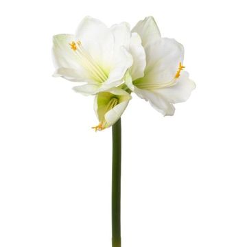 Decorative flower Amaryllis BELAV, white-green, 28"/70cm, Ø2"-5.1"/5-13cm Decorative flower Amaryllis BELAV, white-green, 28"/70cm, Ø2"-5.1"/5-13cm