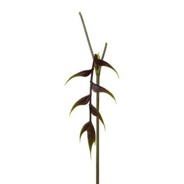 Artificial flower: Heliconia MENJU, burgundy, 22"/55cm Artificial flower: Heliconia MENJU, burgundy, 22"/55cm