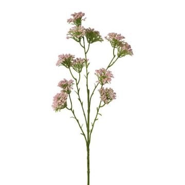 Decorative yarrow branch GRUNTO, pink, 26"/65cm Decorative yarrow branch GRUNTO, pink, 26"/65cm