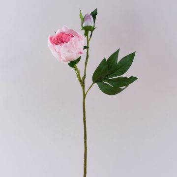 Artificial peony FYRFAR, half-open, pink, 60cm