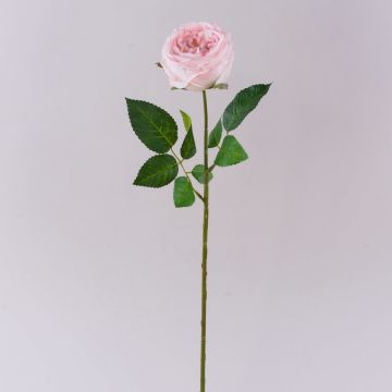 MARNUK artificial cabbage rose, light pink, 60cm, Ø9cm