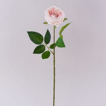 MARNUK artificial cabbage rose, cream-pink, 60cm, Ø9cm