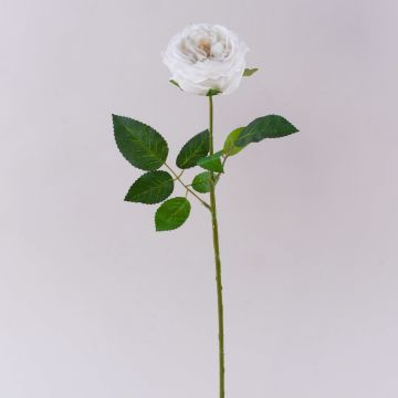 MARNUK artificial cabbage rose, cream-white, 60cm, Ø9cm