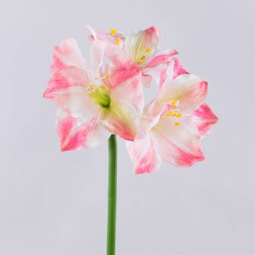 Artificial amaryllis SARNUK, white-pink, 80cm