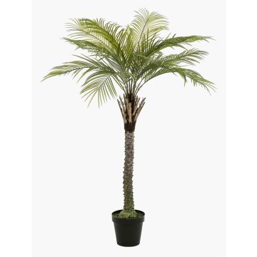 Artificial coconut palm BOLON, 5ft/160cm