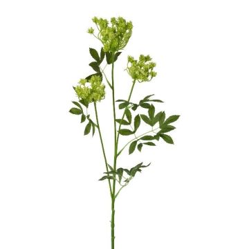 Artificial wild carrot branch TOLHER, green, 33"/85cm