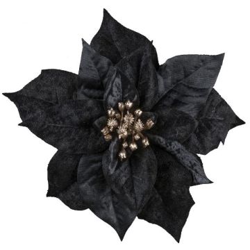 Velvet poinsettia SINFE, black, Ø18cm