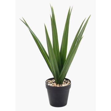 Artificial Yucca palm BAKVER, decorative pot, crossdoor, 20"/50cm Artificial Yucca palm BAKVER, decorative pot, crossdoor, 20"/50cm