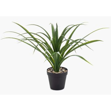 Artificial Yucca rostrata palm POLLYANNA, decorative pot, crossdoor, 14"/35cm Artificial Yucca rostrata palm POLLYANNA, decorative pot, crossdoor, 14"/35cm