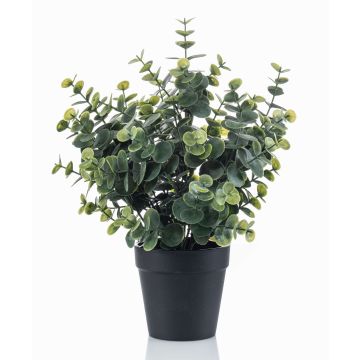 Artificial Eucalyptus GLIWEN in decorative pot, green-grey, 12"/30cm Artificial Eucalyptus GLIWEN in decorative pot, green-grey, 12"/30cm