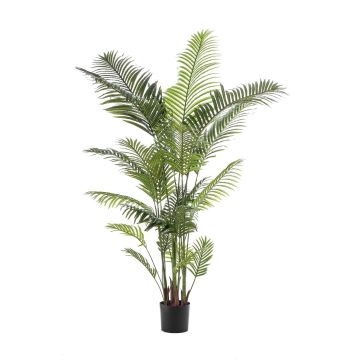 Artificial areca palm TAWAN, 7ft/200cm Artificial areca palm TAWAN, 7ft/200cm