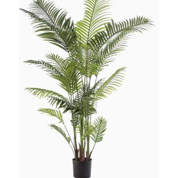 Artificial areca palm TAWAN, 7ft/200cm