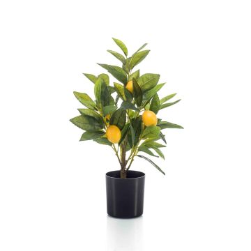 Artificial lemon tree UALANI, artificial trunk, fruits, 16"/40cm Artificial lemon tree UALANI, artificial trunk, fruits, 16"/40cm