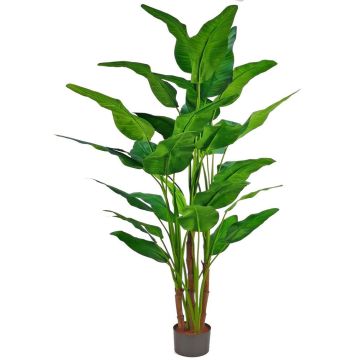 Plastic palm tree 'Traveller's tree' GORYU, 8ft/250cm Plastic palm tree 'Traveller's tree' GORYU, 8ft/250cm