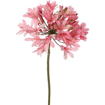 Artificial Agapanthus flower KAFENA, light pink, 90cm, Ø20cm