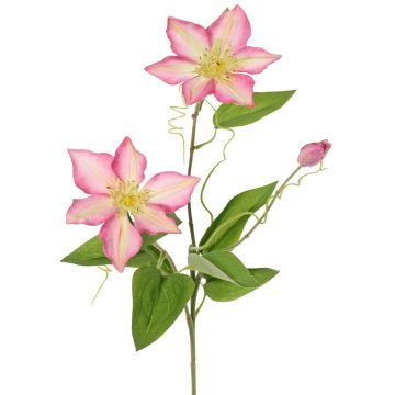 Artificial clematis branch DORAN, pink-green, 30"/75cm, Ø4.3"-5.1"/11-13cm Artificial clematis branch DORAN, pink-green, 30"/75cm, Ø4.3"-5.1"/11-13cm