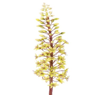 Artificial flower, crested lily ZERFIM, green, 90 cm