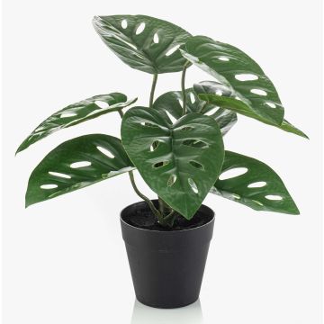 Artificial Philodendron monstera adansonii PRUMEX, decorative pot, 11"/28cm