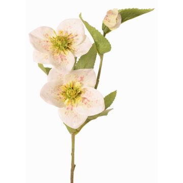 Artificial Christmas rose branch SUNMYN, cream, 22"/55cm, Ø3.1"-3.9"/8-10cm Artificial Christmas rose branch SUNMYN, cream, 22"/55cm, Ø3.1"-3.9"/8-10cm