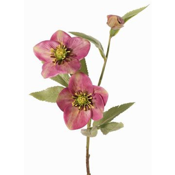 Artificial Christmas rose branch SUNMYN, mauve, 22"/55cm, Ø3.1"-3.9"/8-10cm Artificial Christmas rose branch SUNMYN, mauve, 22"/55cm, Ø3.1"-3.9"/8-10cm