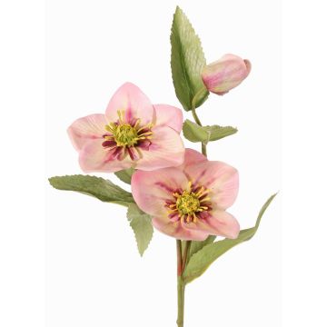 Artificial Christmas rose branch SUNMYN, pink, 22"/55cm, Ø3.1"-3.9"/8-10cm Artificial Christmas rose branch SUNMYN, pink, 22"/55cm, Ø3.1"-3.9"/8-10cm