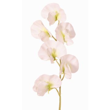 Artificial Lathyrus flower WAHNY, white and green, 45cm, Ø5.5cm