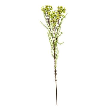 Artificial branch wax flower MEDEA, green-fuchsia, 31"/80cm, Ø2.4"/6cm Artificial branch wax flower MEDEA, green-fuchsia, 31"/80cm, Ø2.4"/6cm