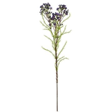 Artificial branch Wax flower MEDEA, dark purple, 80cm, Ø6cm