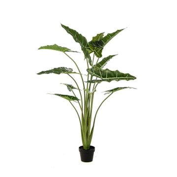 Artificial plant Alocasia Sanderiana MUNAY in a decorative pot, green, 5ft/140cm
