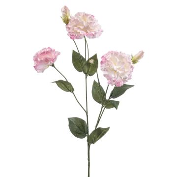 Artificial flower Lisianthus RENARA, pink-cream, 75cm