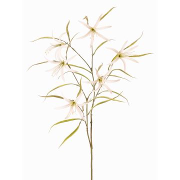 Decorative branch, sweet clover, TYZANS, white and green, 95 cm