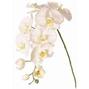 Decorative Phalaenopsis orchid branch WESA, white, 90cm, Ø11–12.5cm