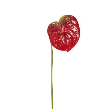 Artificial flower Anthurium SAMBANA, red-green, 26"/65cm Artificial flower Anthurium SAMBANA, red-green, 26"/65cm
