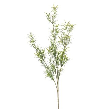 Artificial Asparagus sprengeri branch SAMBENO, green, 31"/80cm Artificial Asparagus sprengeri branch SAMBENO, green, 31"/80cm