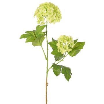 Artificial snowball branch FINDALS, light green, 24"/60cm, Ø2.4"-3.5"/6-9cm Artificial snowball branch FINDALS, light green, 24"/60cm, Ø2.4"-3.5"/6-9cm