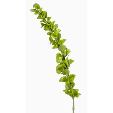 Decorative shellflower SOTO, green, 3ft/105cm