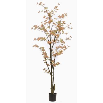 Decorative tree Nasturtium SULLA, artificial stem, peach-green, 6ft/185cm