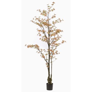 Decorative tree Nasturtium SULLA, artificial stem, peach-green, 7ft/210cm