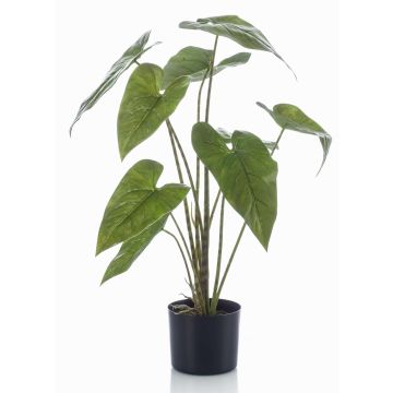 Artificial plant Alocasia Zebrina LEFKA with roots, green, 30"/75cm