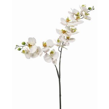 Plastic Phalaenopsis orchid branch WANTA, white, 3ft/100cm